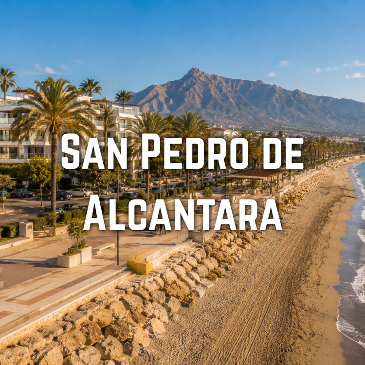 Properties and family homes in San Pedro de Alcántara
